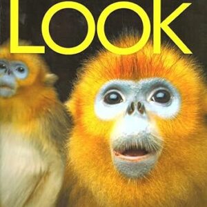 Look Starter Workbook